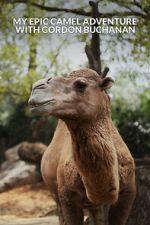 Watch My Epic Camel Adventure with Gordon Buchanan Vumoo
