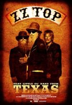 Watch ZZ Top: That Little Ol\' Band from Texas Vumoo