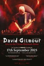 Watch David Gilmour Live at the Circus Maximus, Rome Vumoo