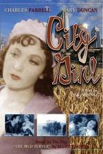 Watch Die Frau aus Chicago Vumoo