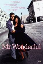 Watch Mr Wonderful Vumoo