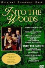 Watch Into the Woods Vumoo