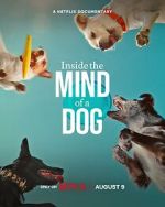Watch Inside the Mind of a Dog Vumoo