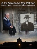 Watch A Promise to My Father Vumoo