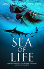 Watch Sea of Life Vumoo