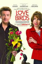 Watch Love Birds Vumoo