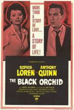 Watch The Black Orchid Vumoo