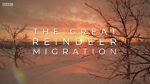 Watch All Aboard! The Great Reindeer Migration Vumoo