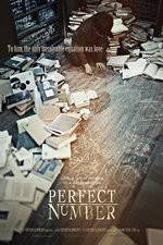 Watch Perfect Number Vumoo