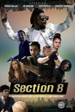 Watch Section 8 Vumoo