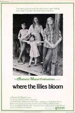 Watch Where the Lilies Bloom Vumoo