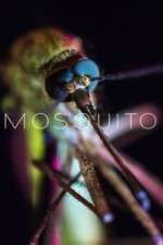 Watch Mosquito Vumoo