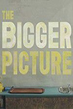 Watch The Bigger Picture Vumoo