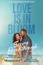 Watch Spring Breakthrough Vumoo
