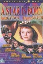 Watch A Star Is Born Vumoo