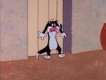 Watch Cats and Bruises (Short 1965) Vumoo