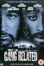 Watch Gang Related Vumoo