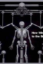 Watch How Wings Are Attached to the Backs of Angels Vumoo