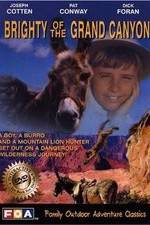 Watch Brighty of the Grand Canyon Vumoo