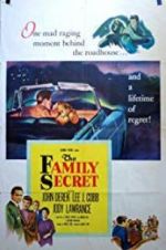 Watch The Family Secret Vumoo
