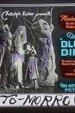 Watch The Blue Bird Vumoo