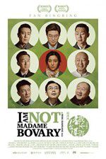 Watch I Am Not Madame Bovary Vumoo