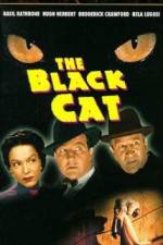 Watch The Black Cat Vumoo