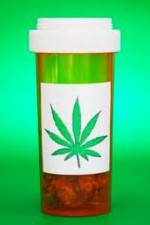 Watch Medicinal Cannabis and its Impact on Human Health Vumoo