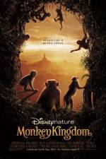 Watch Monkey Kingdom Vumoo