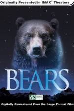 Watch Bears Vumoo
