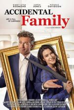 Watch Accidental Family Vumoo