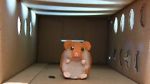 Watch Hamster Hell (Short 2012) Vumoo