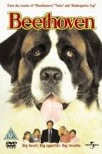 Watch Beethoven Vumoo