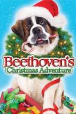 Watch Beethoven's Christmas Adventure Vumoo