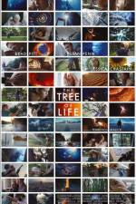 Watch The Tree of Life Vumoo