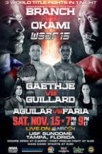 Watch World Series of Fighting 15: Branch vs. Okami Vumoo