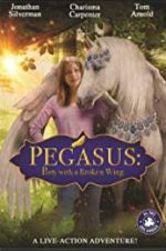 Watch Pony with a Broken Wing Vumoo