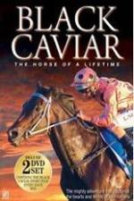 Watch Black Caviar The Races Vumoo