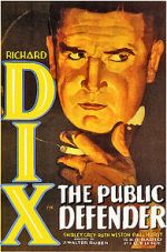 Watch The Public Defender Vumoo
