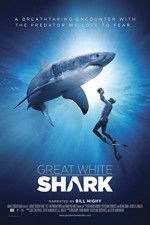 Watch Great White Shark Vumoo