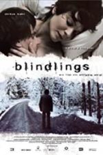 Watch Blind Spot Vumoo