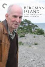 Watch Bergman Island Vumoo