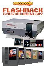 Watch Flashback NES Documentary Vumoo
