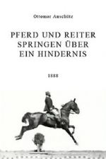 Watch Pferd und Reiter Springen über ein Hindernis Vumoo