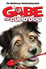Watch Gabe the Cupid Dog Vumoo