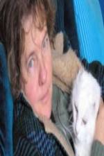 Watch Ciao Meow Vumoo