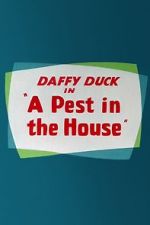 Watch A Pest in the House Vumoo