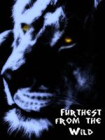 Watch Furthest from the Wild Vumoo