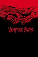 Watch Vampire Bats Vumoo