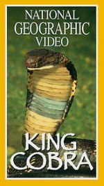 Watch King Cobra Vumoo